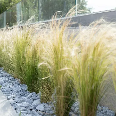 Villa Onar - Luxury Argostoli (Kefalonia)